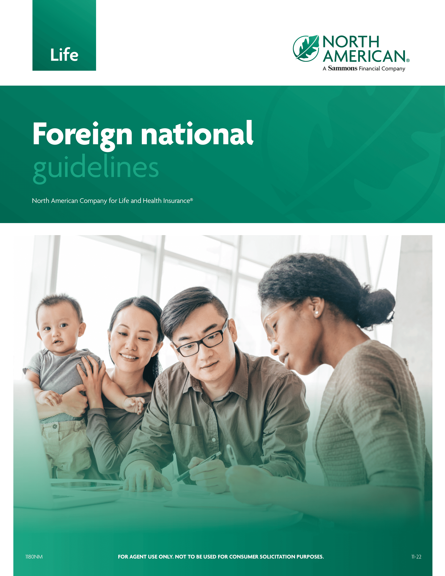 Foreign National Guidelines