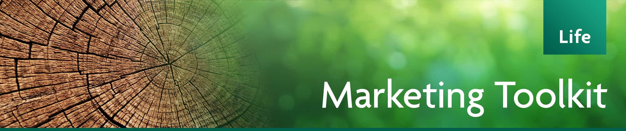Marketing Toolkit - help open doors and close sales Marketing Toolkit - help open doors and close sales