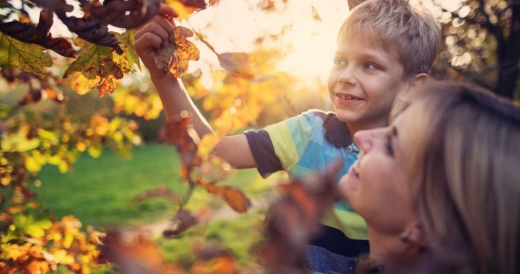 A mother shows her son an oak leaf.