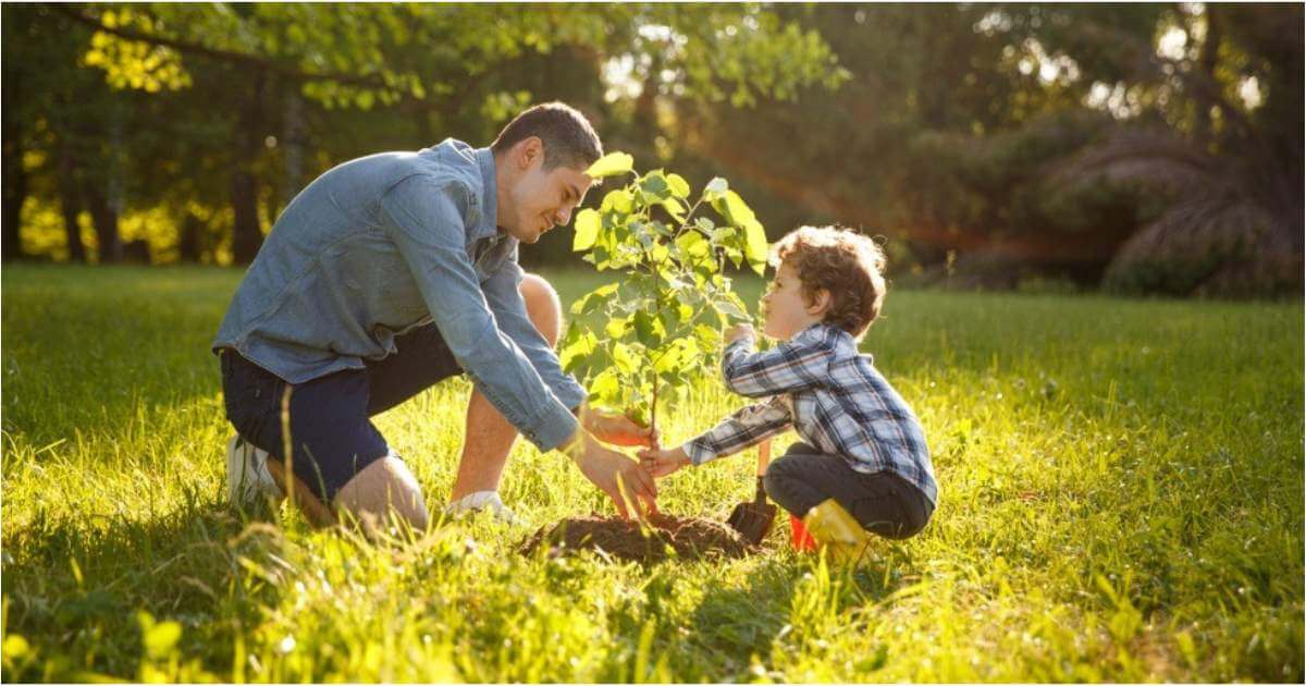 A father plants a tree with his young son.