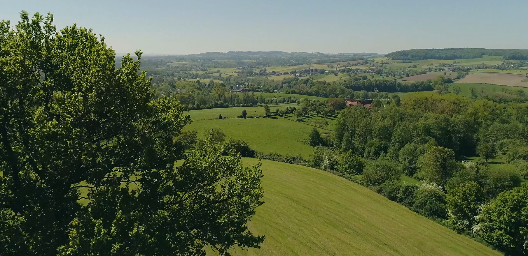 Video 5
