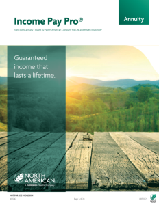 Income Pay Pro product brochure