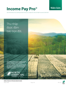 Income Pay Pro brochure – Vietnamese